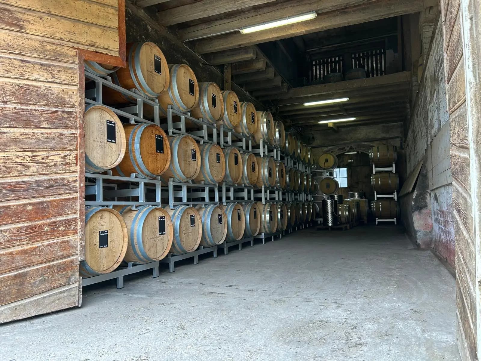 Dégustation et visite de cave