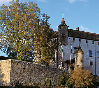 colloque, Château d'Oron, Vaud