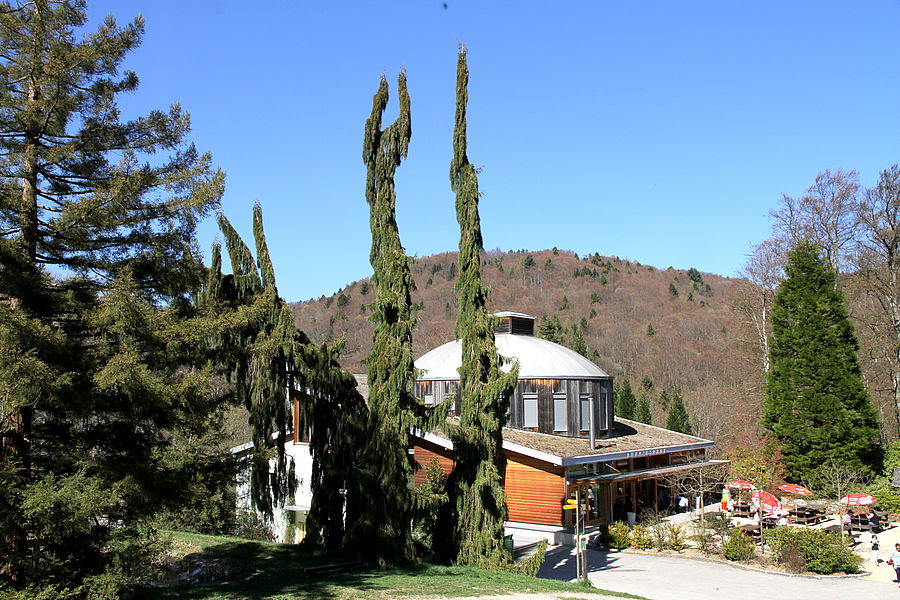 séminaire, Arboretum du Vallon de l'Aubonne