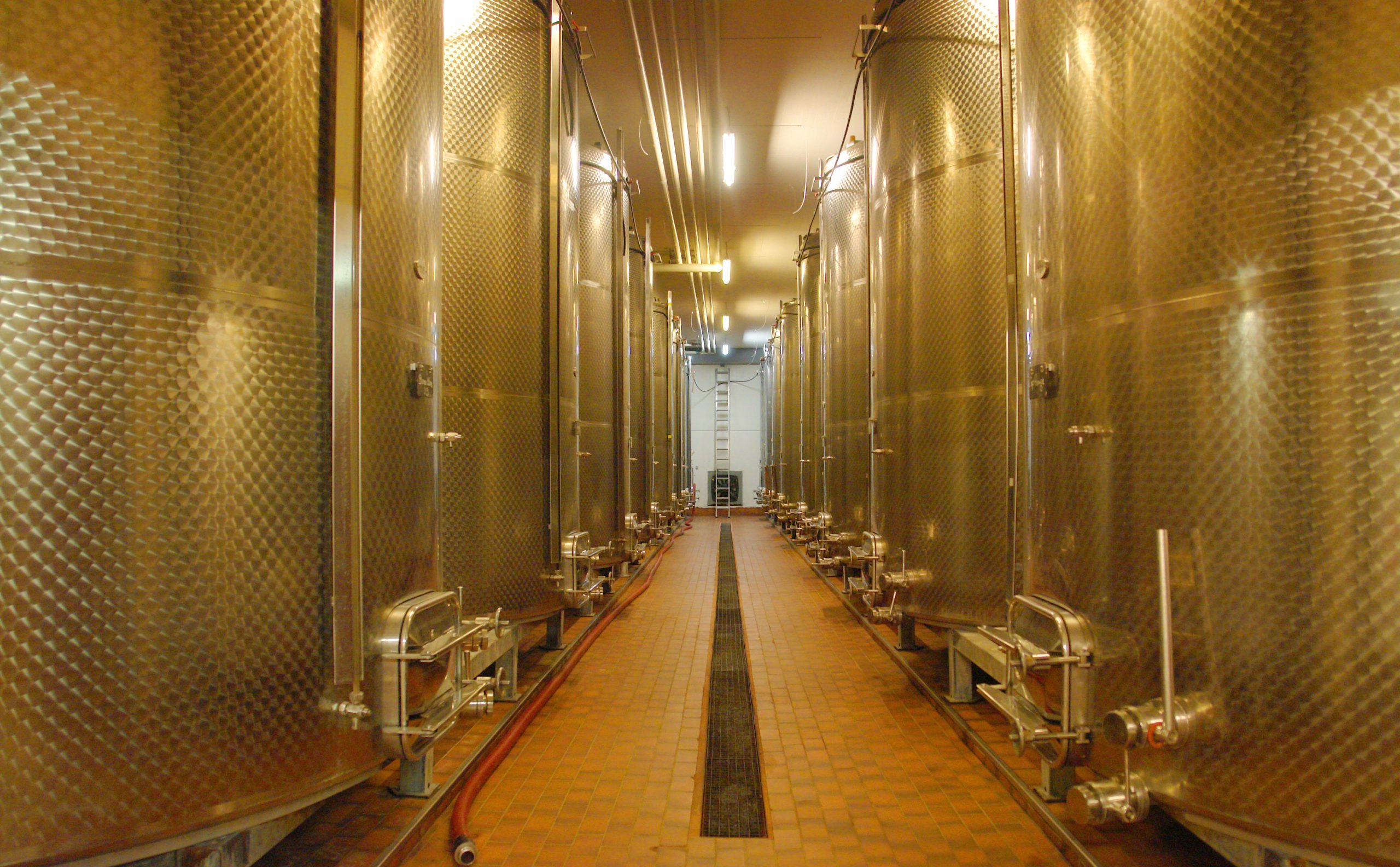 Cave De Bonvillars Cuves.jpg.jpg