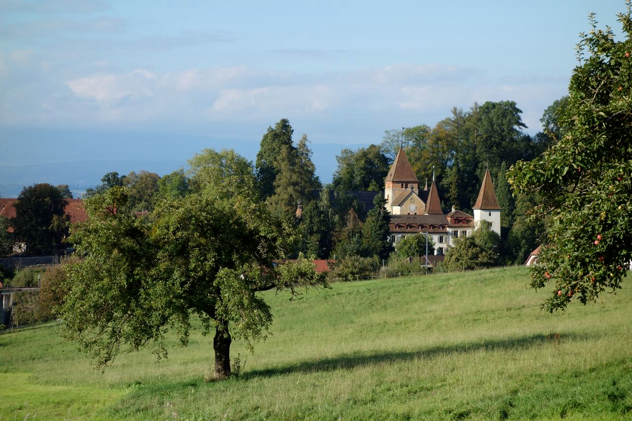 Chateaumunchenwiler7.png