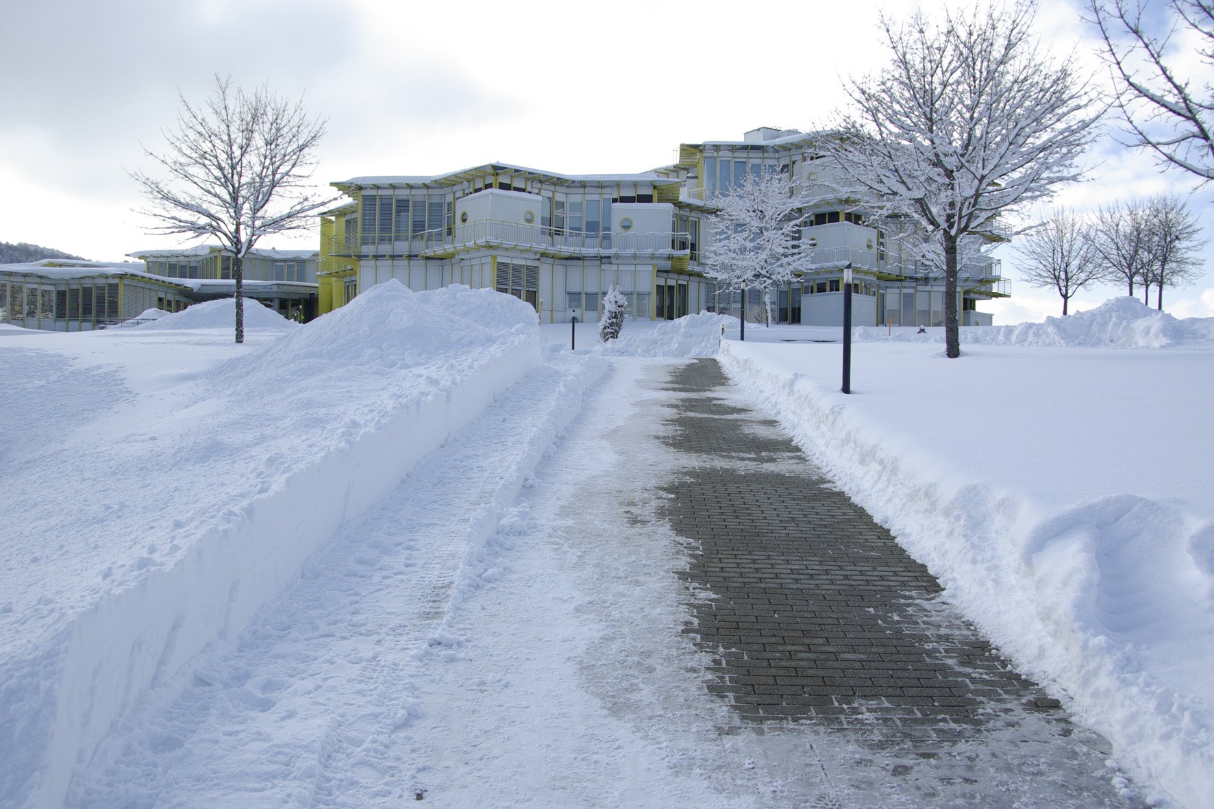 Cip Ext Hivers.jpg