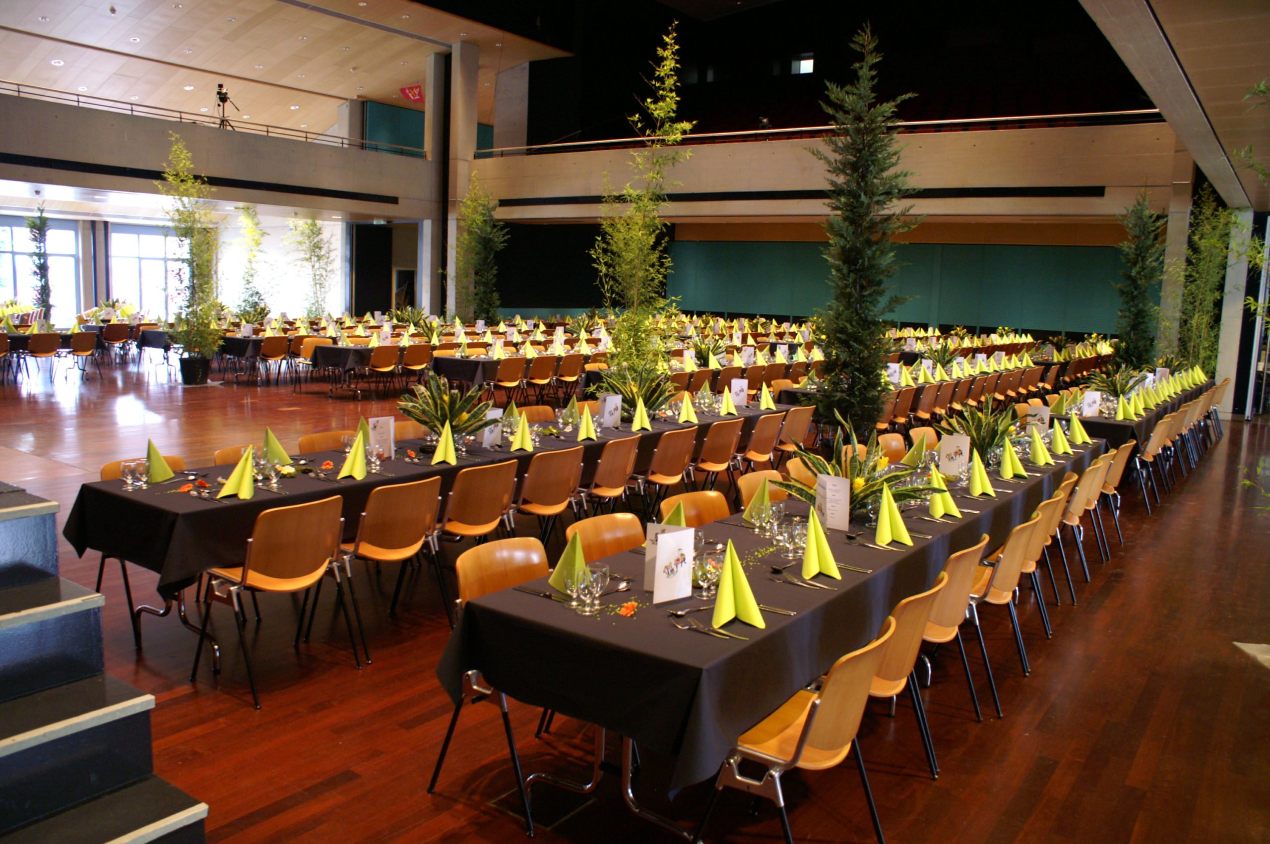 Konica Minolta Digital Camera