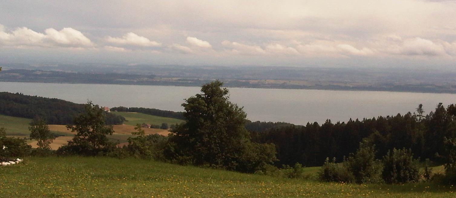 Vue Sur Lac.jpg