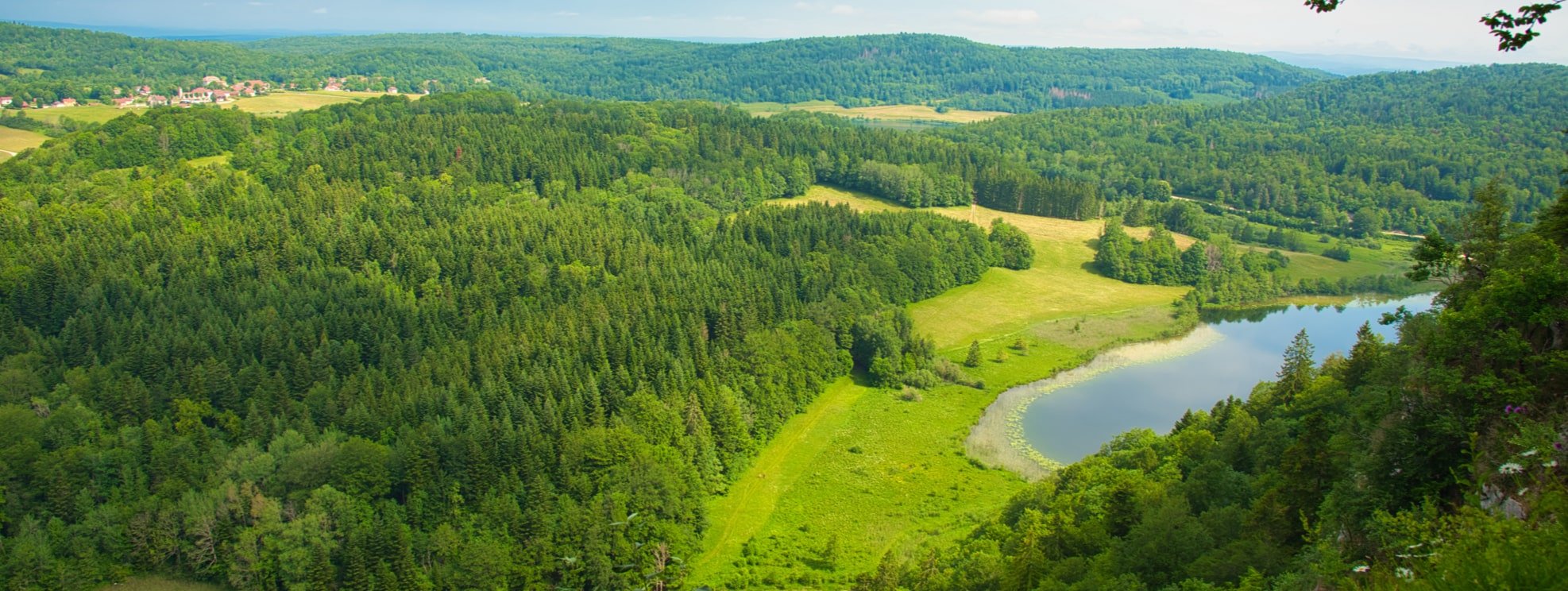 Troodi Canton Jura Bandeau Min