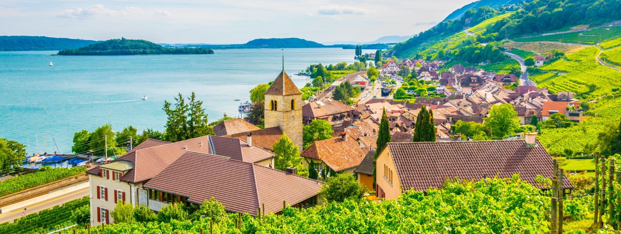 Troodi Canton Vaud Bandeau Min