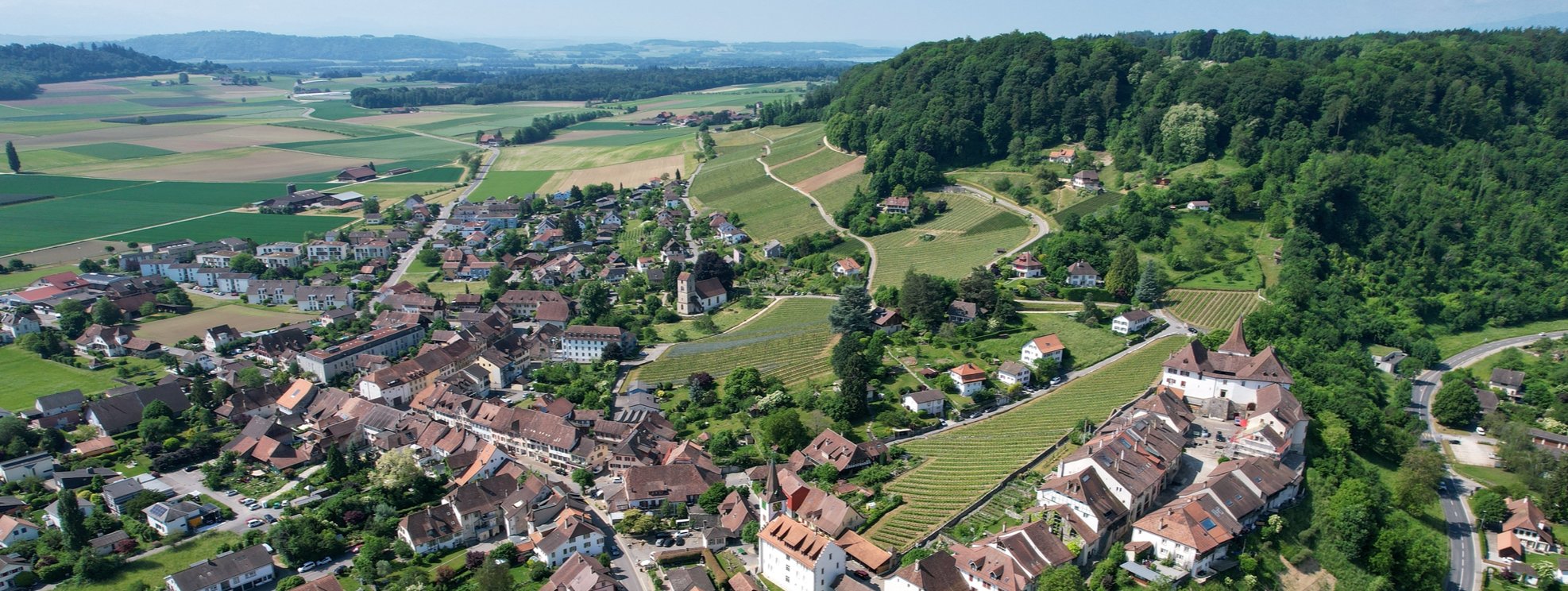 Troodi Salles Conference Bienne Bandeau