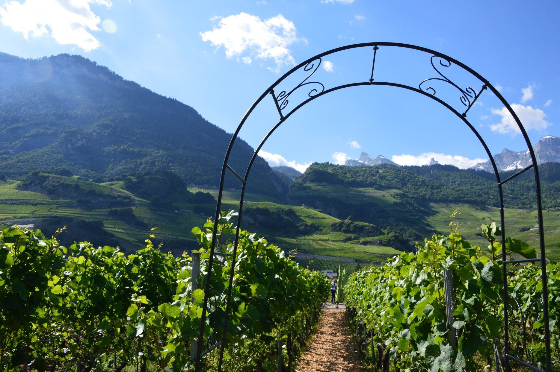 Bains De Saillon Pergola Vignes.jpg