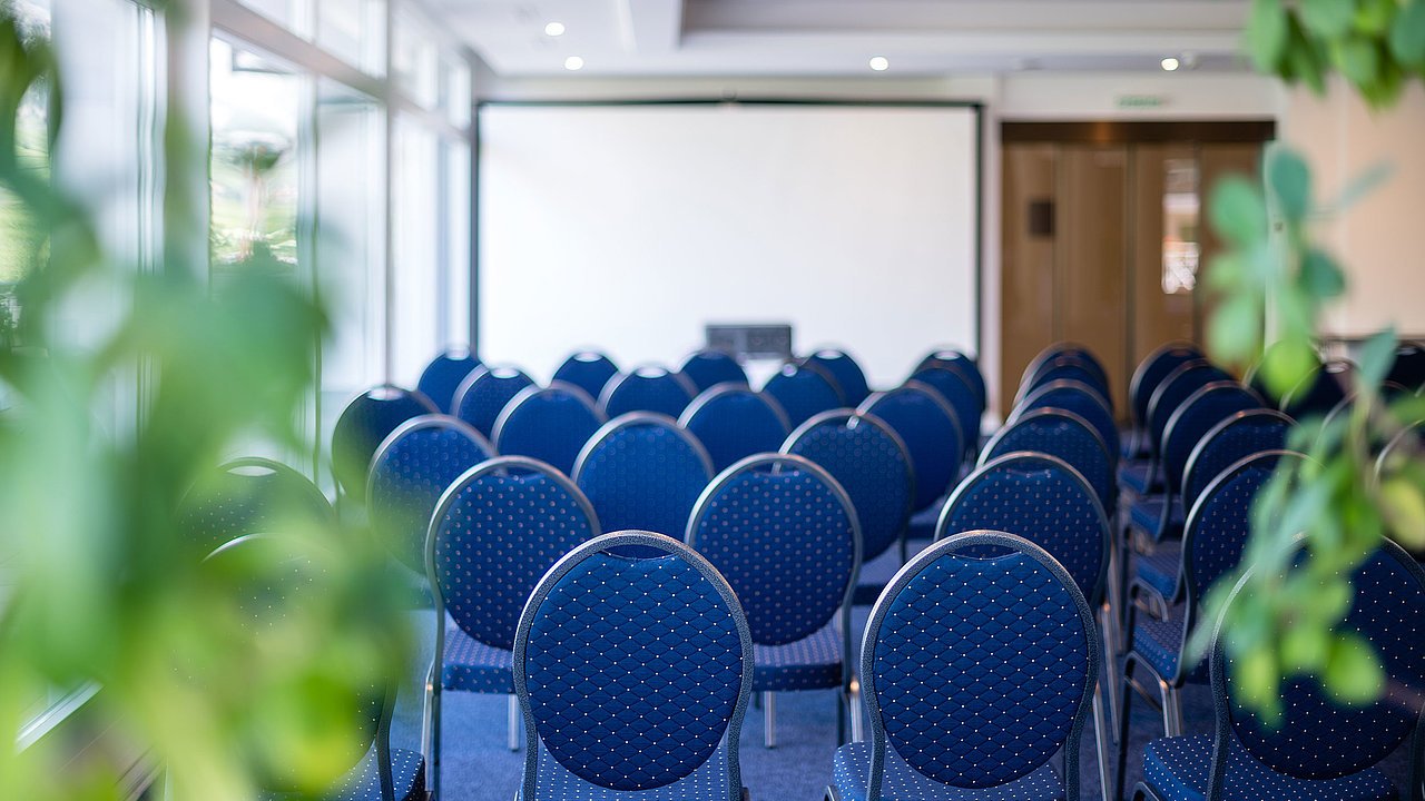 Bains De Saillon Salle De Conference.jpg