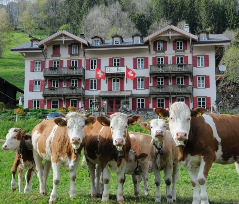 Hôtel Du Pillon