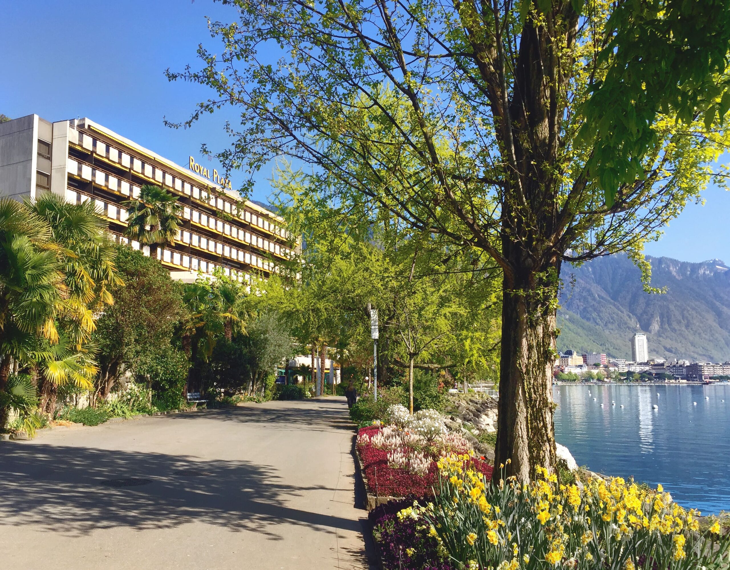Salle De Conférence Montreux Hotel Royal Plaza Montreux