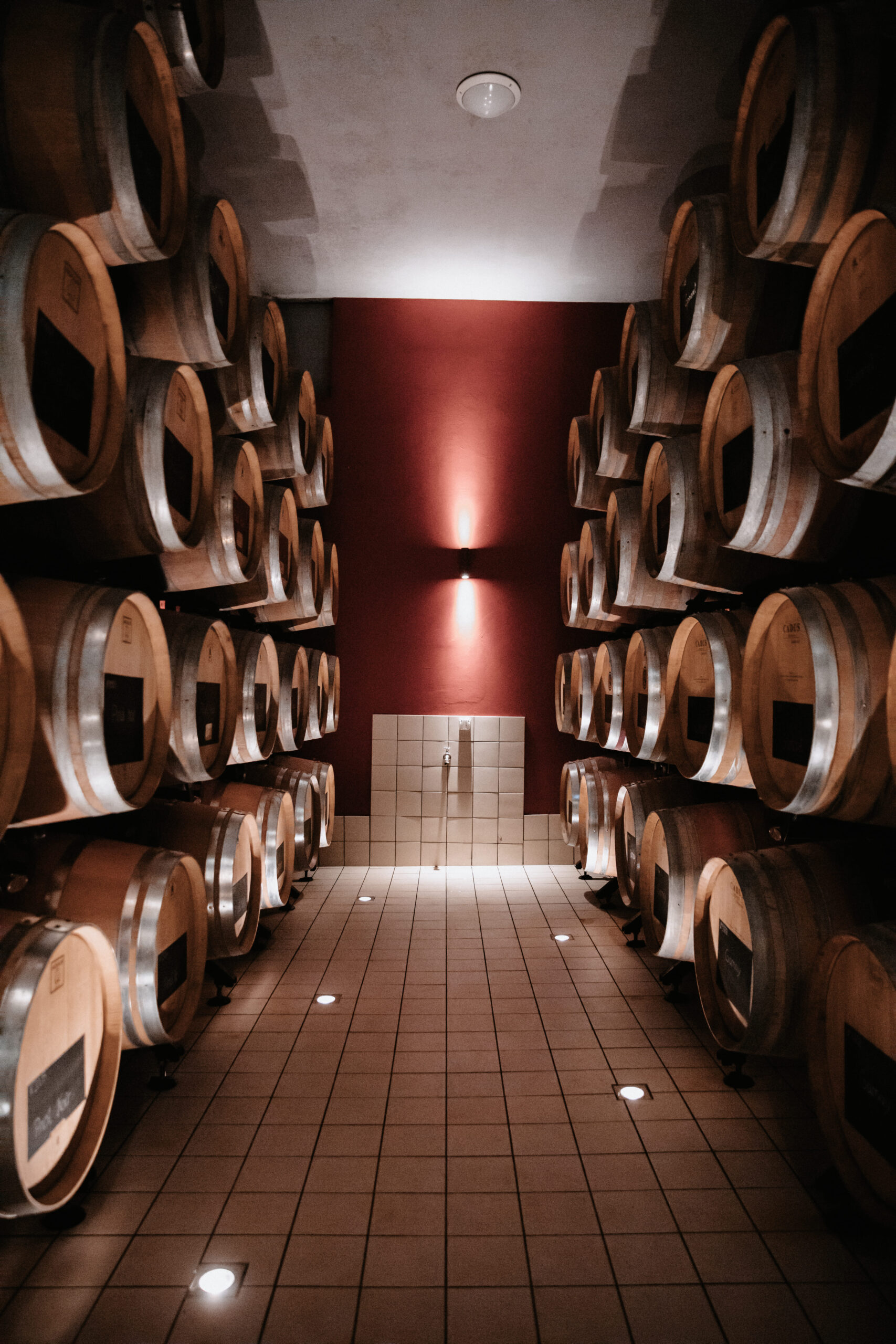 Salle De Conference Yverdon Cave Viticulteurs Bonvillars