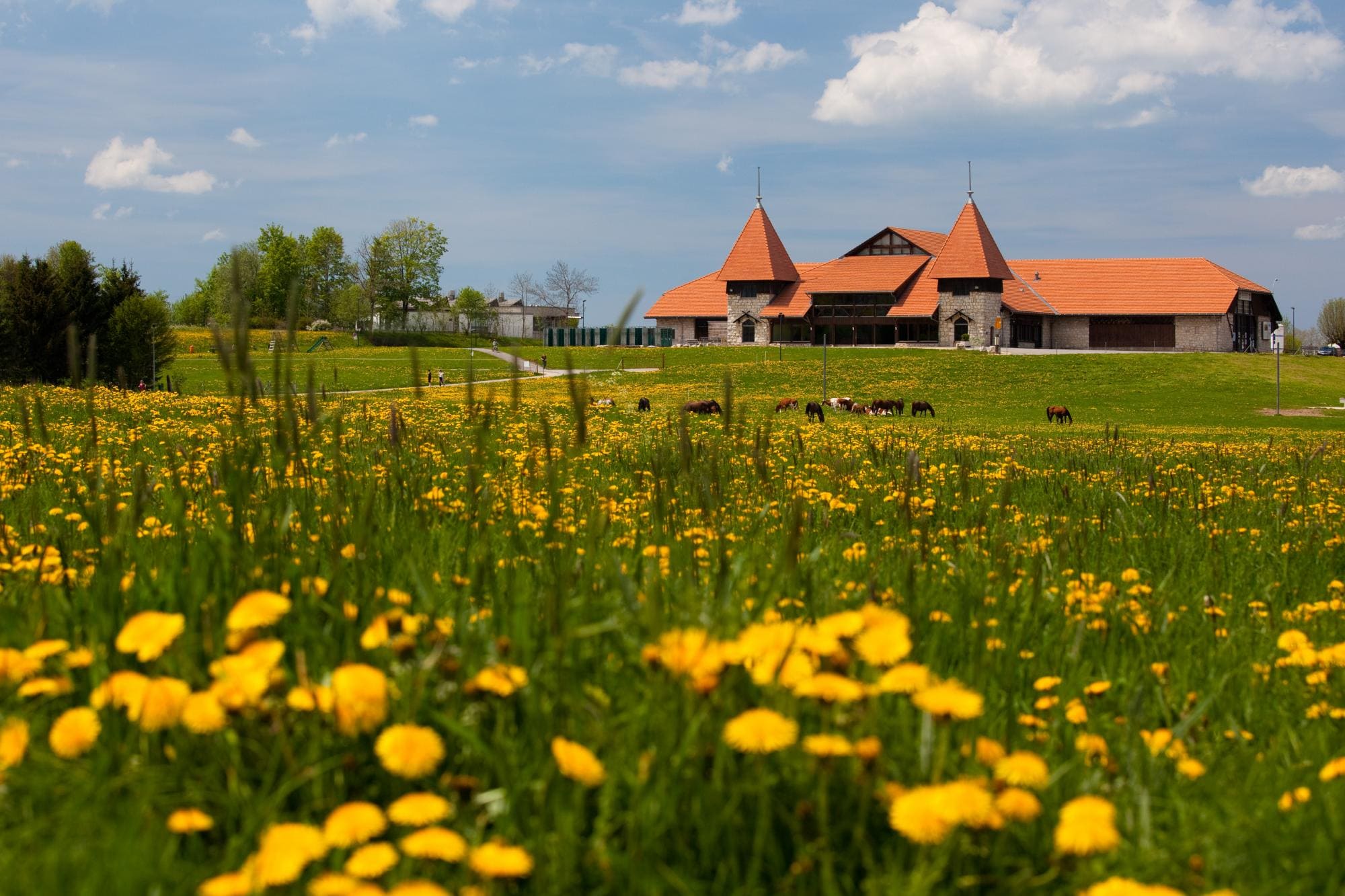 Salle événementielle Jura Halle Marché Concours Saignelégier