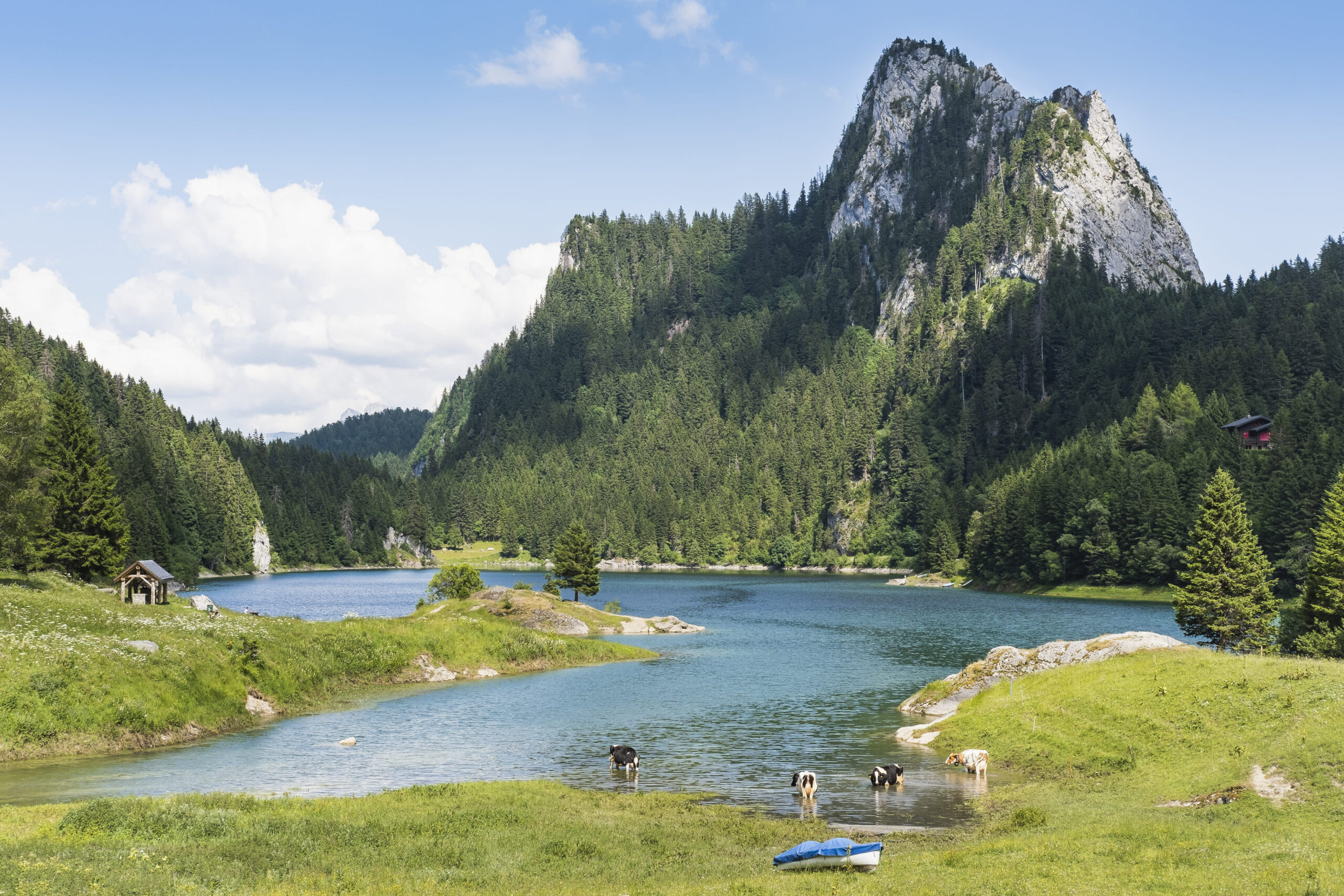 Lac De Taney Depuis Taney