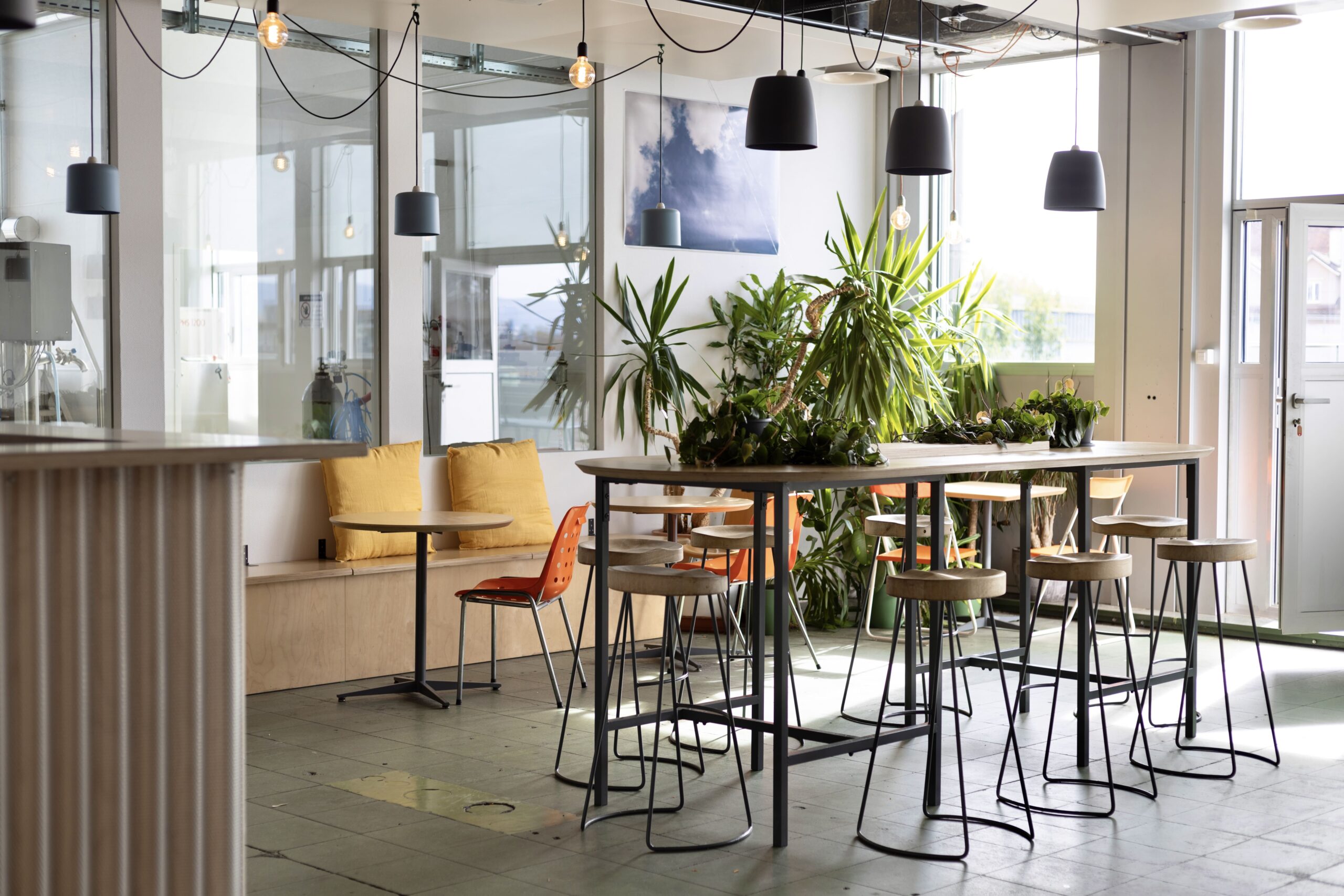 Urban Kombucha événement Professionnel