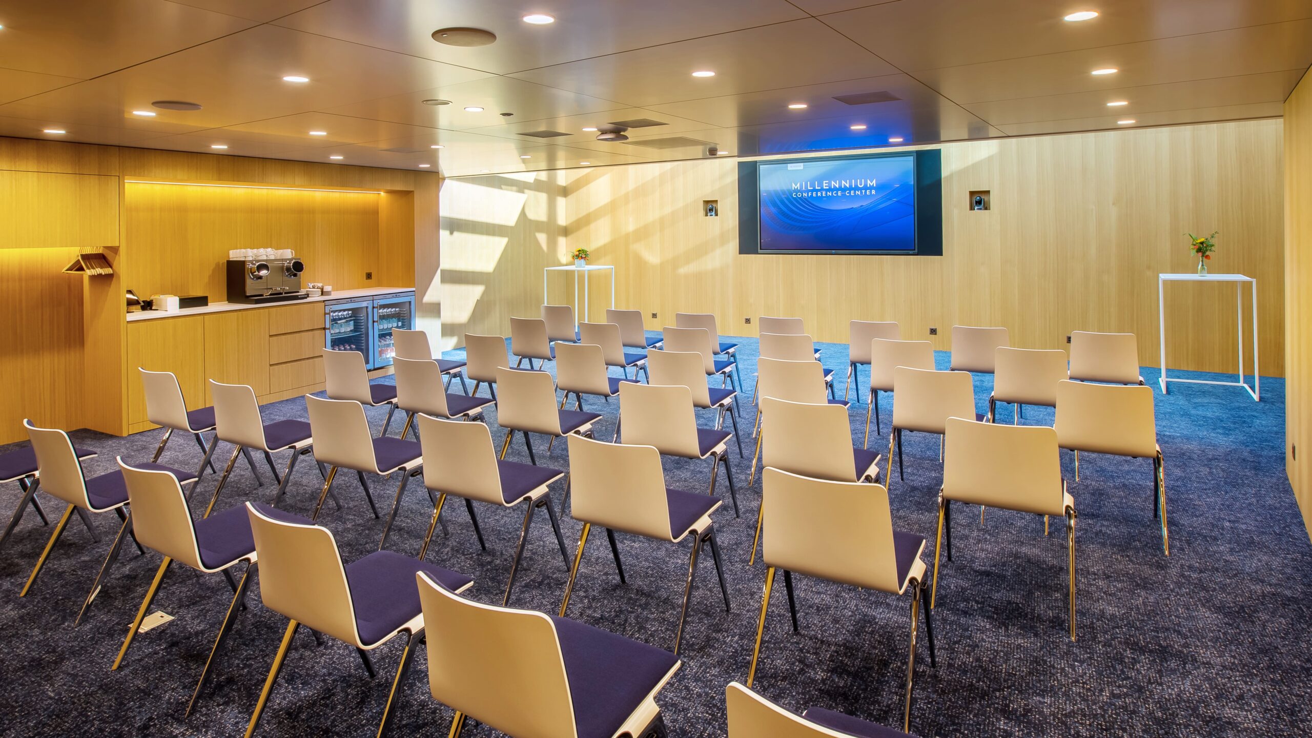 Millennium Salle De Seminaire