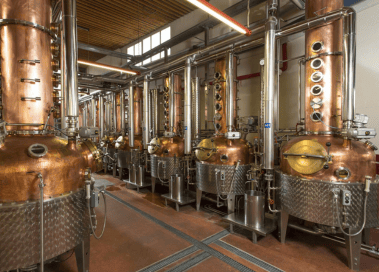 Team Building Valais Visite Morand Supp.