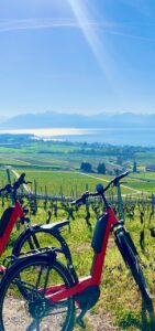 Sortie Vélo En Equipe Bikapa