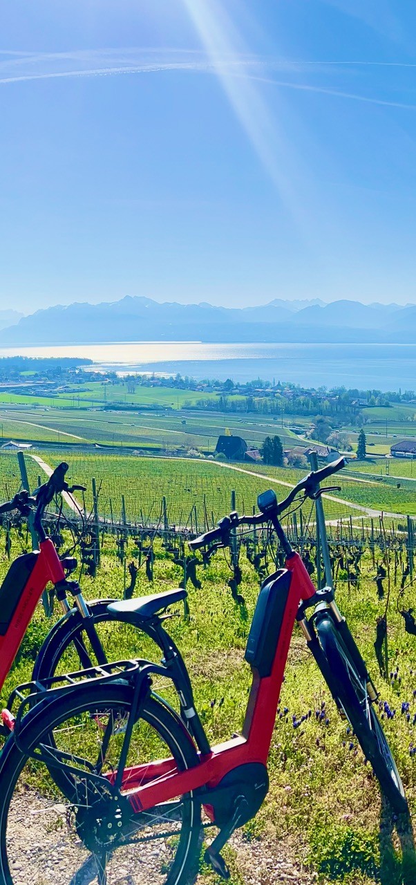 Sortie Vélo En Equipe Bikapa