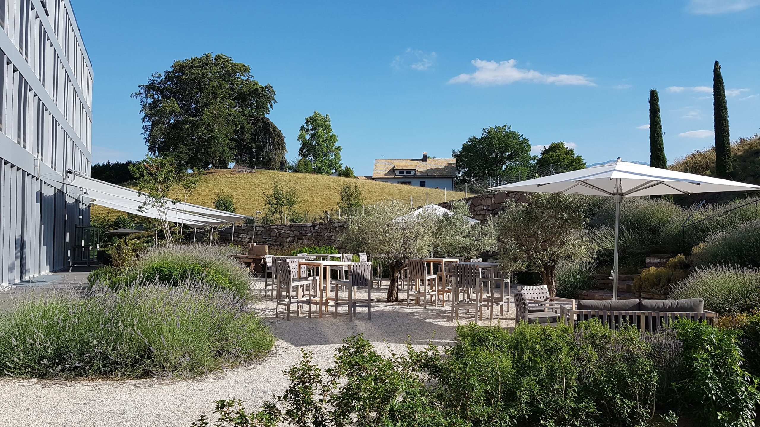 Modern Times Salle Vevey