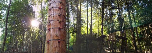 Team Building Exterieur Parc Aventure Aigle