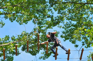 Team Building Plein Air Parc Aventure Accrobranche