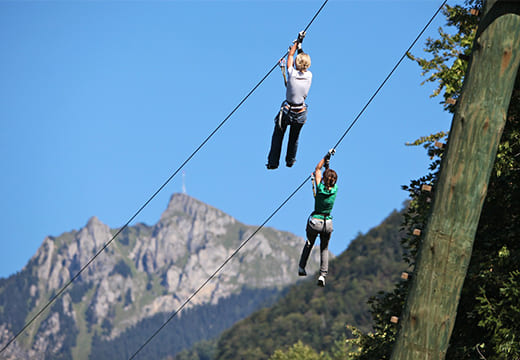Team Building Plein Air Parc Aventure