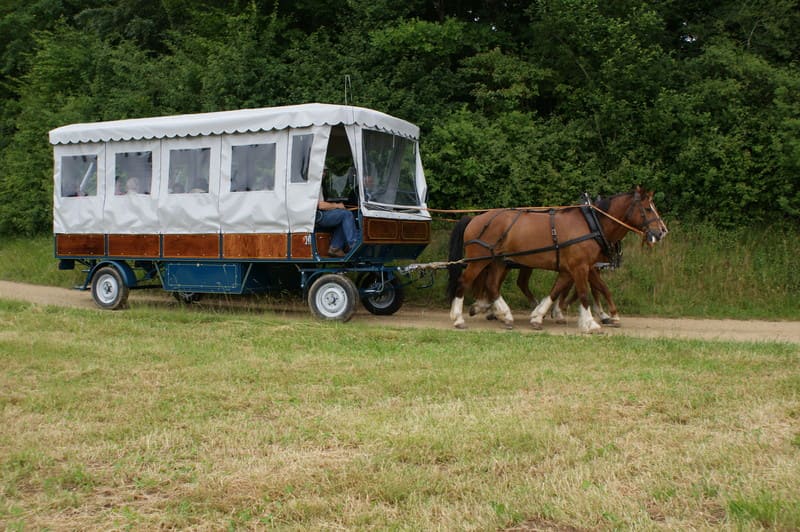 Calèche Jura Sortie équipe Cdl Event