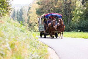 Calèche Jura Team Building