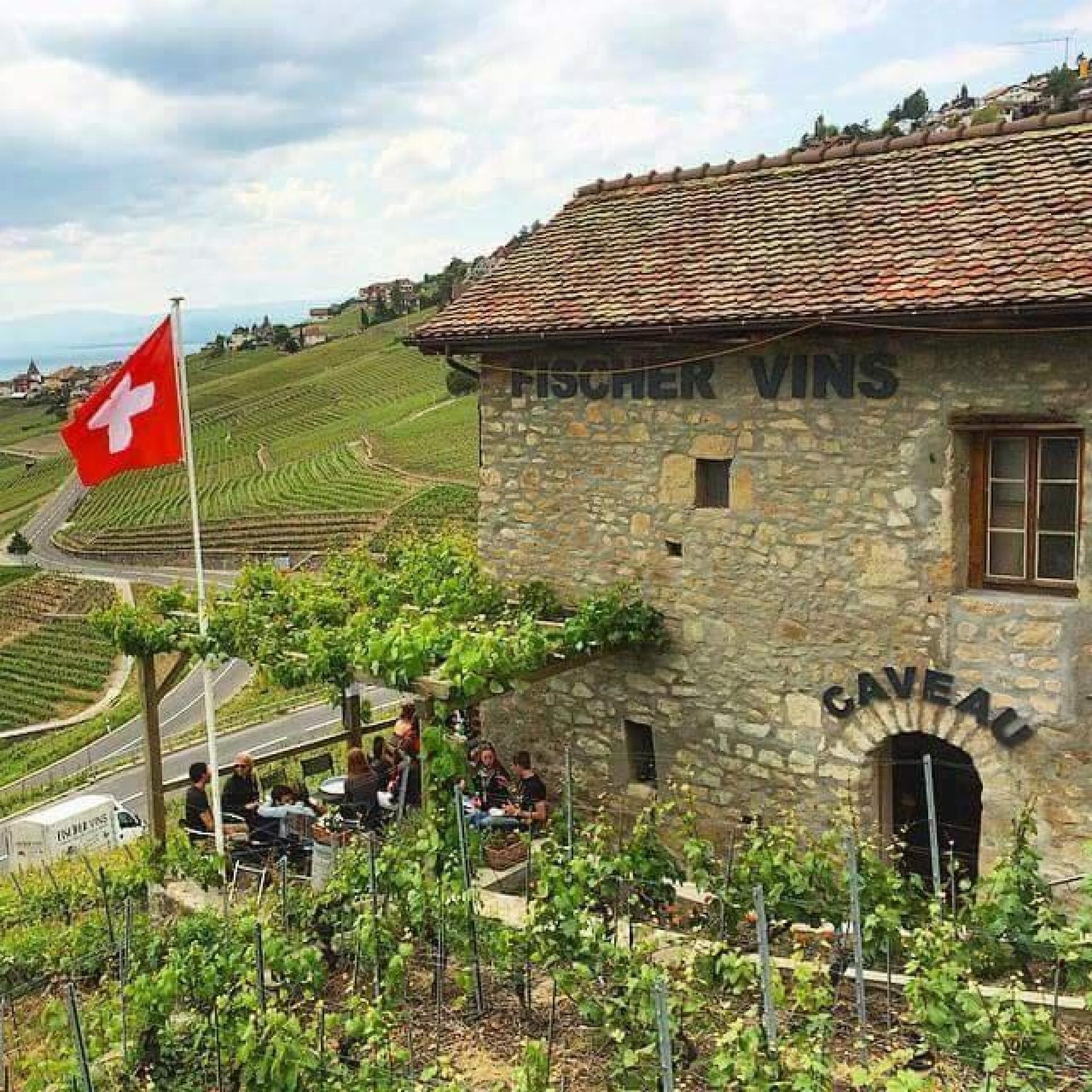 Domaine St Amour Chenaux