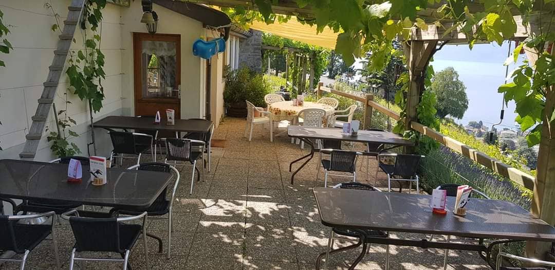 Terrasse Domaine St Amour Chenaux