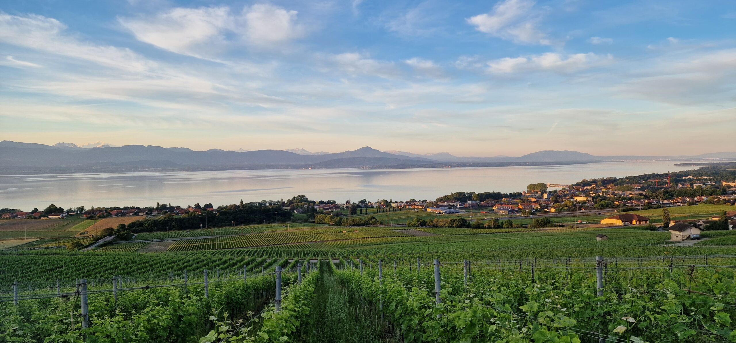 Vue De La Capite Mont Blanc Rallye Des 5 Sens